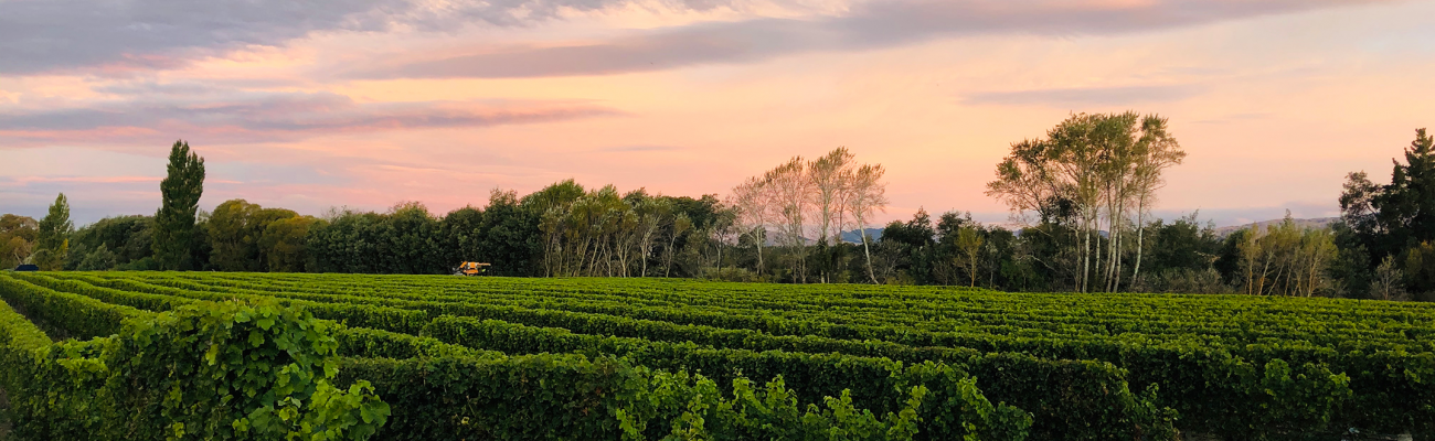 Image of the Two Rivers brand for Authentic Wines & Spirits