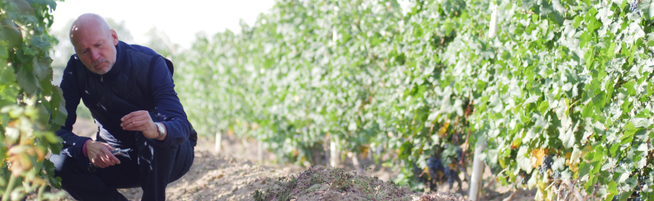 Image of the Laurenz V brand for Authentic Wines & Spirits